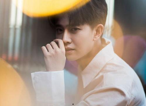 任嘉伦爆料最新视频大全,精彩瞬间大盘点